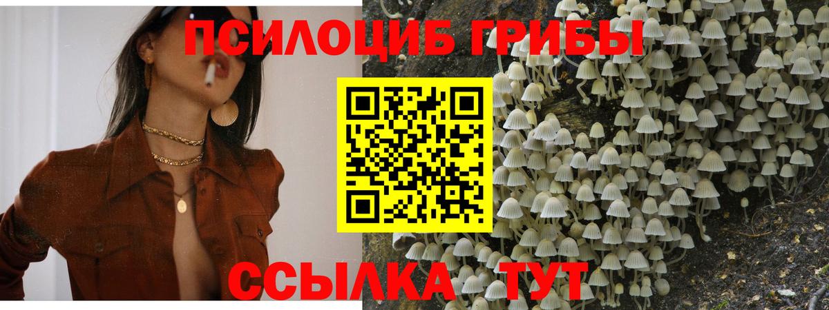 Галлюциногенные грибы GOLDEN TEACHER Первоуральск